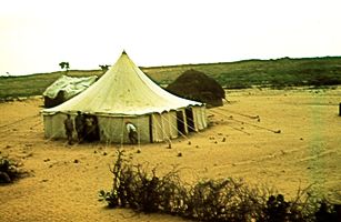 Pakistan frontier check post, 1950 © John Cool.