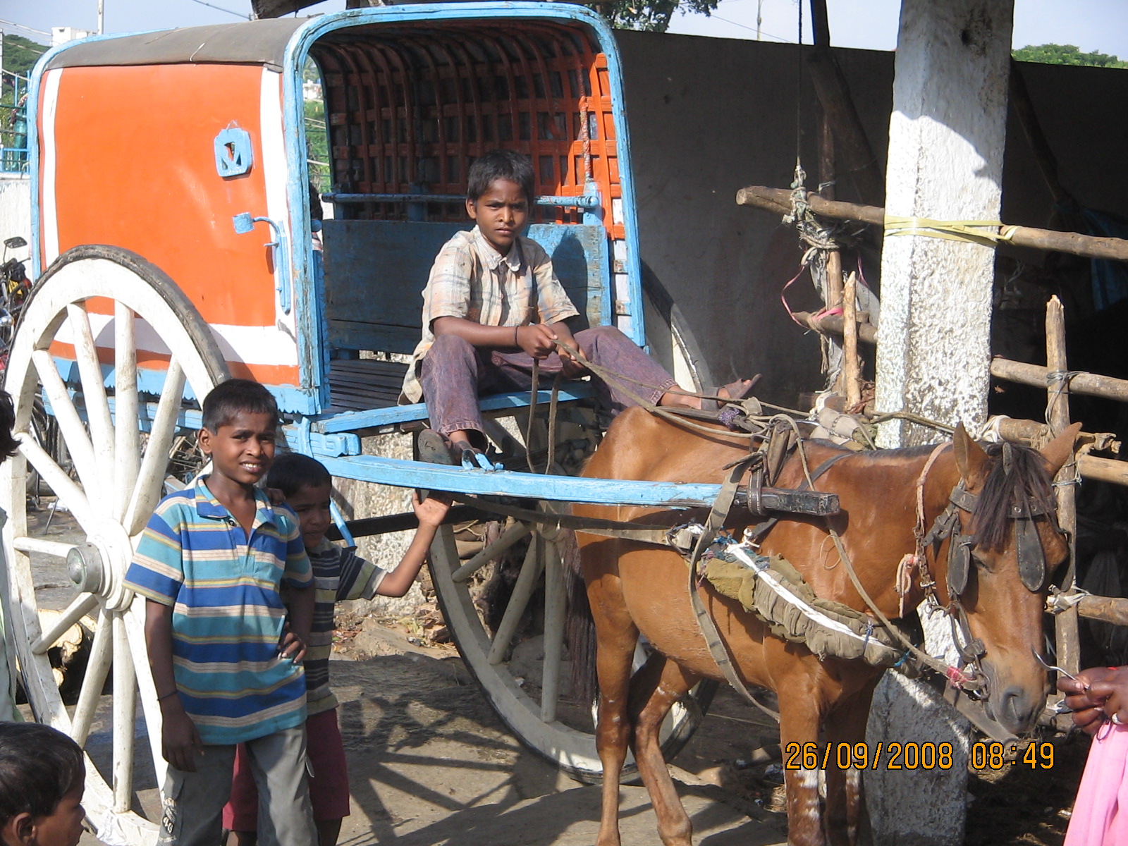 Another view of a Jutka in Bangalore, 2008. © M P V Shenoi (2008) Another view of a Jutka in Bangalore, 2008. © M P V Shenoi (2008)
